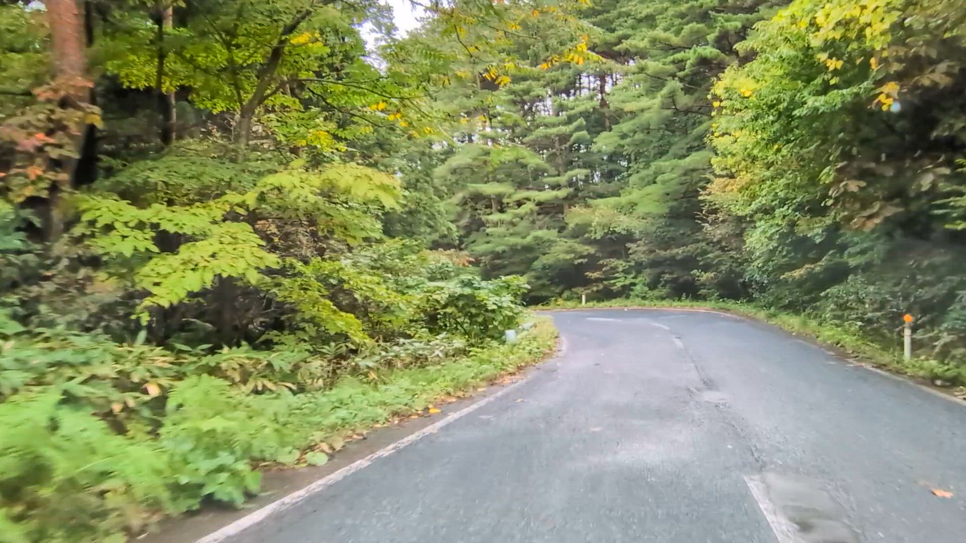 原 三戸郡田子町 青森県 