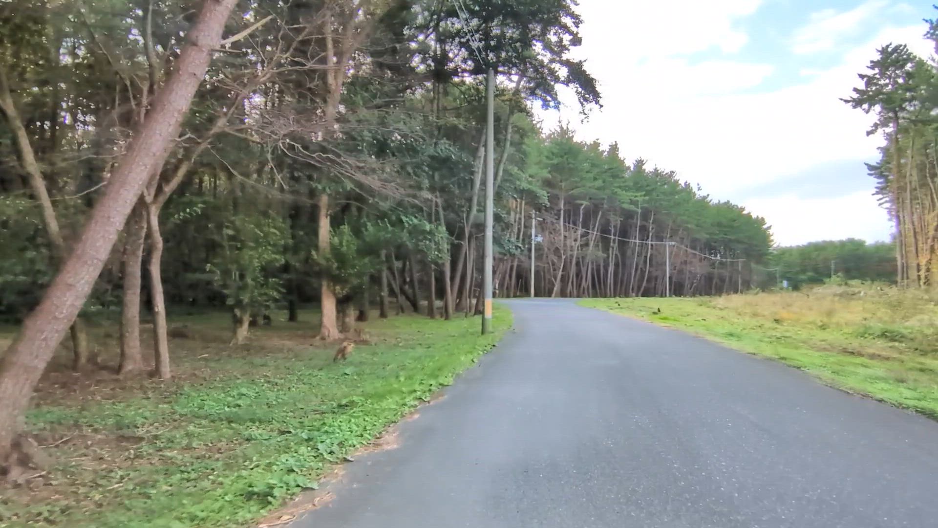 淋代 三沢市 青森県 