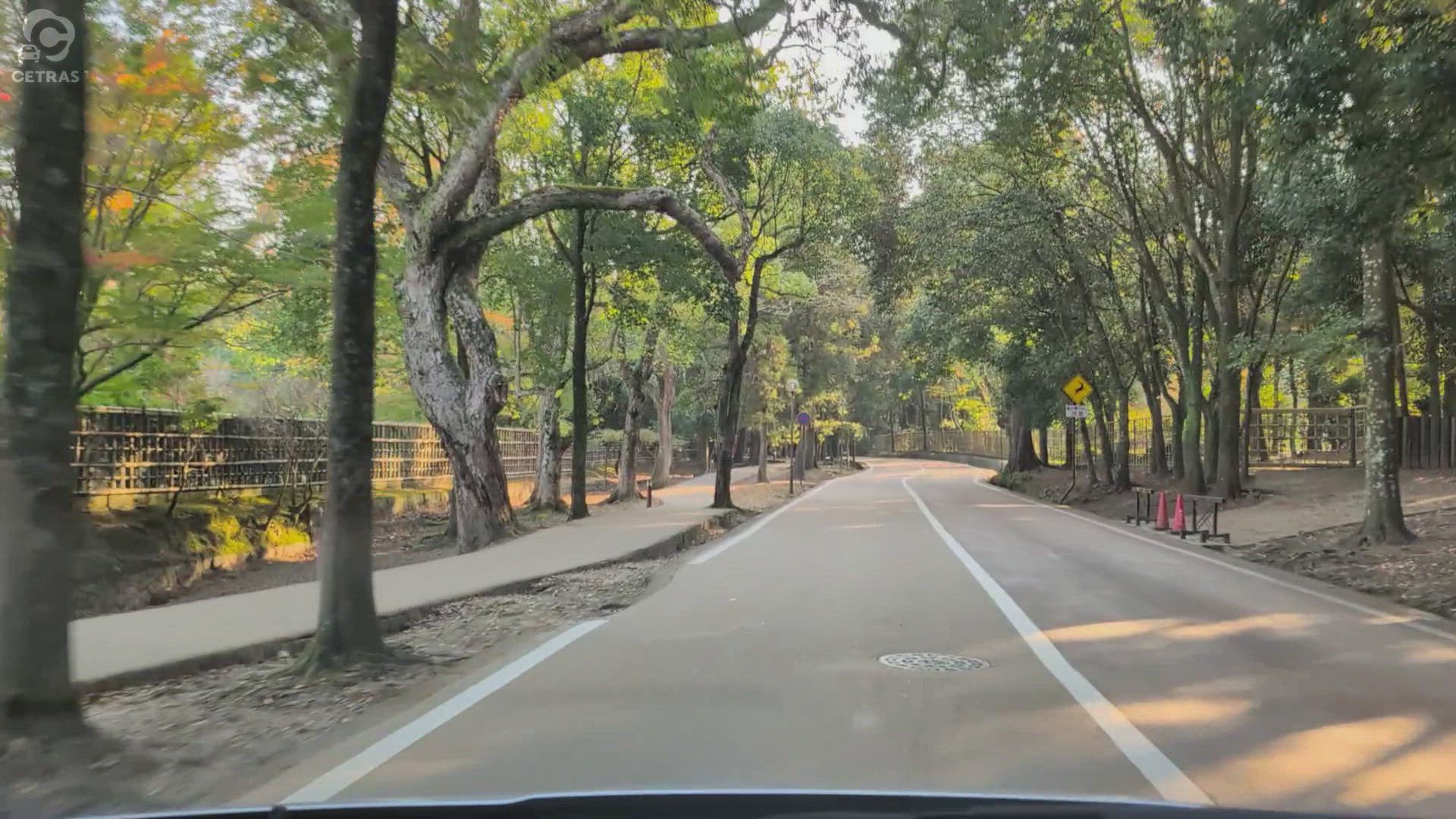春日野町 奈良市 奈良県 