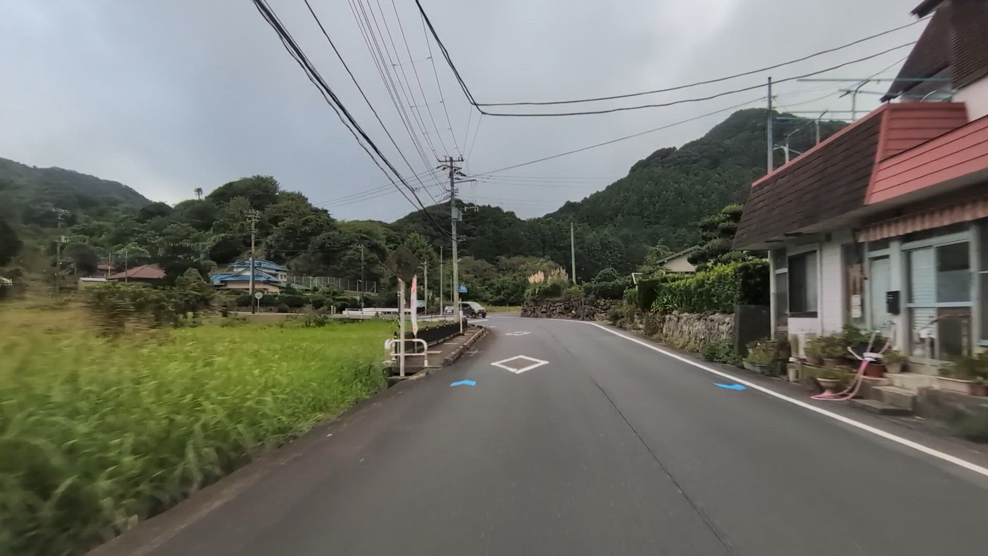 差田 賀茂郡南伊豆町 静岡県 