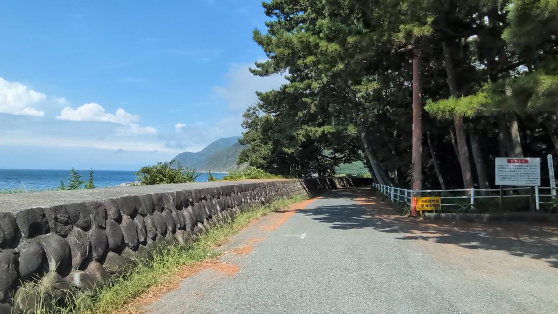 戸田 沼津市 静岡県 