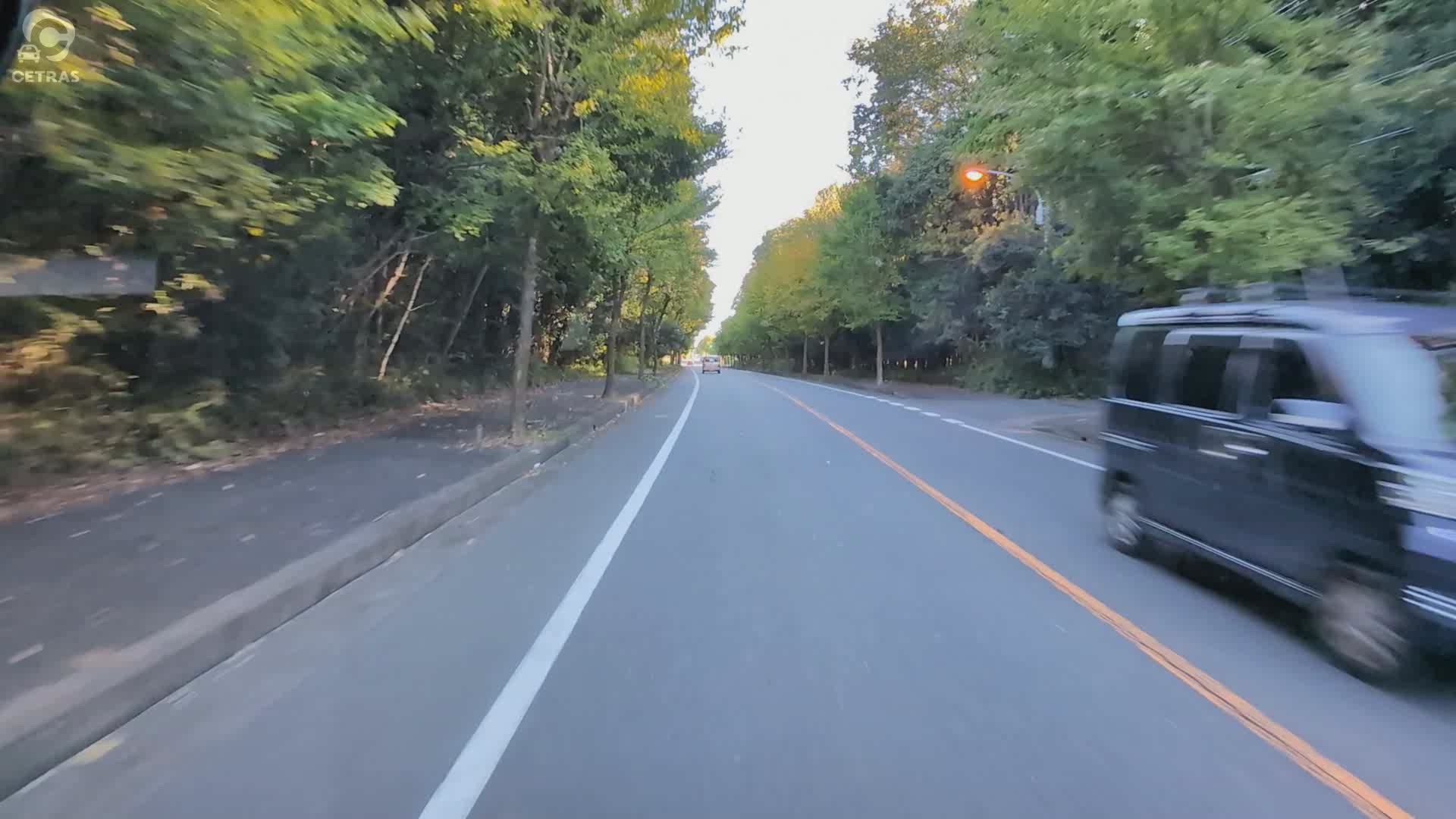 茨城県 ひたちなか市 稲田一丁目 かえで通り 