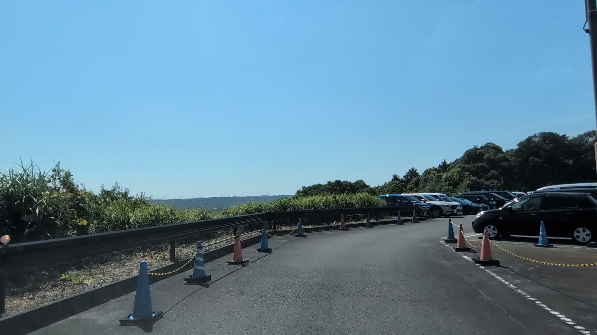 坂口 牧之原市 静岡県 