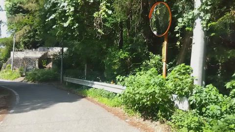 埼玉県 本庄市 児玉町小平 長瀞児玉線 