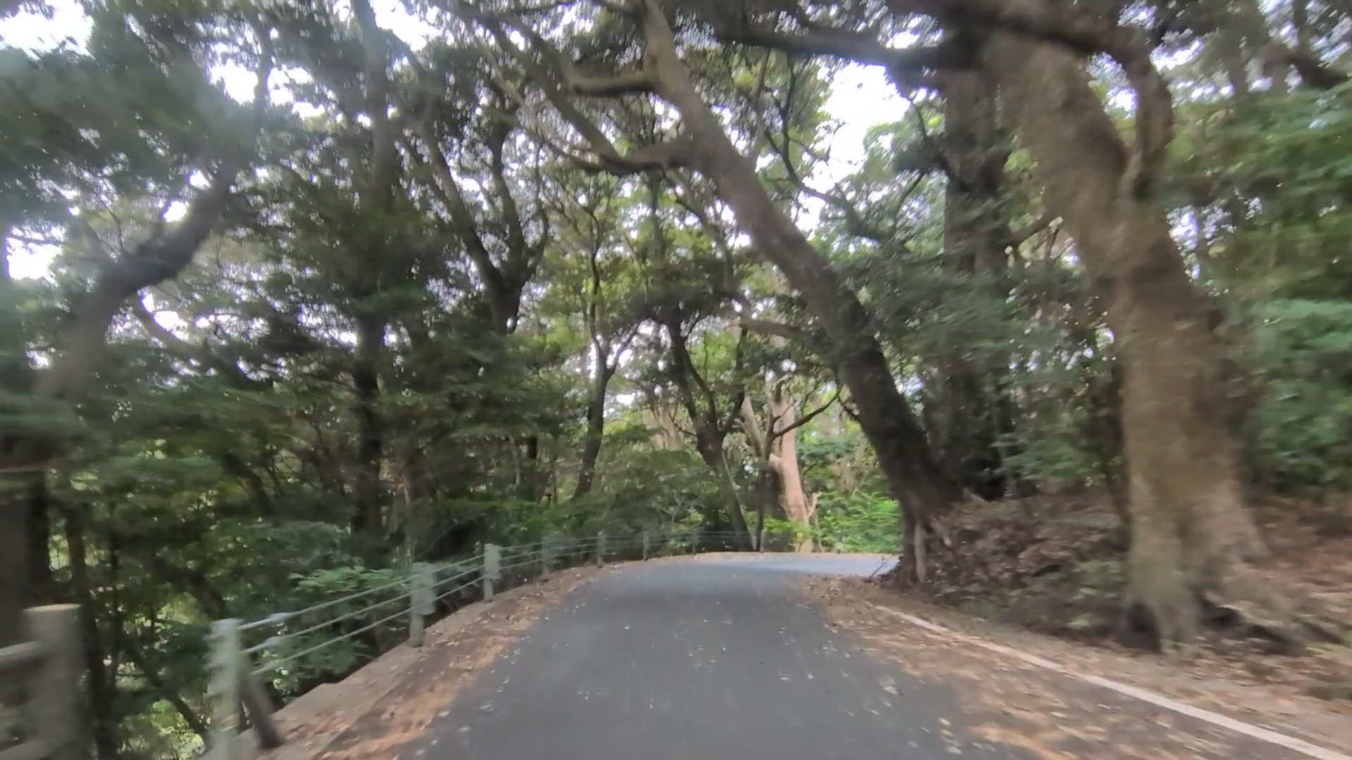 真鶴 足柄下郡真鶴町 神奈川県 